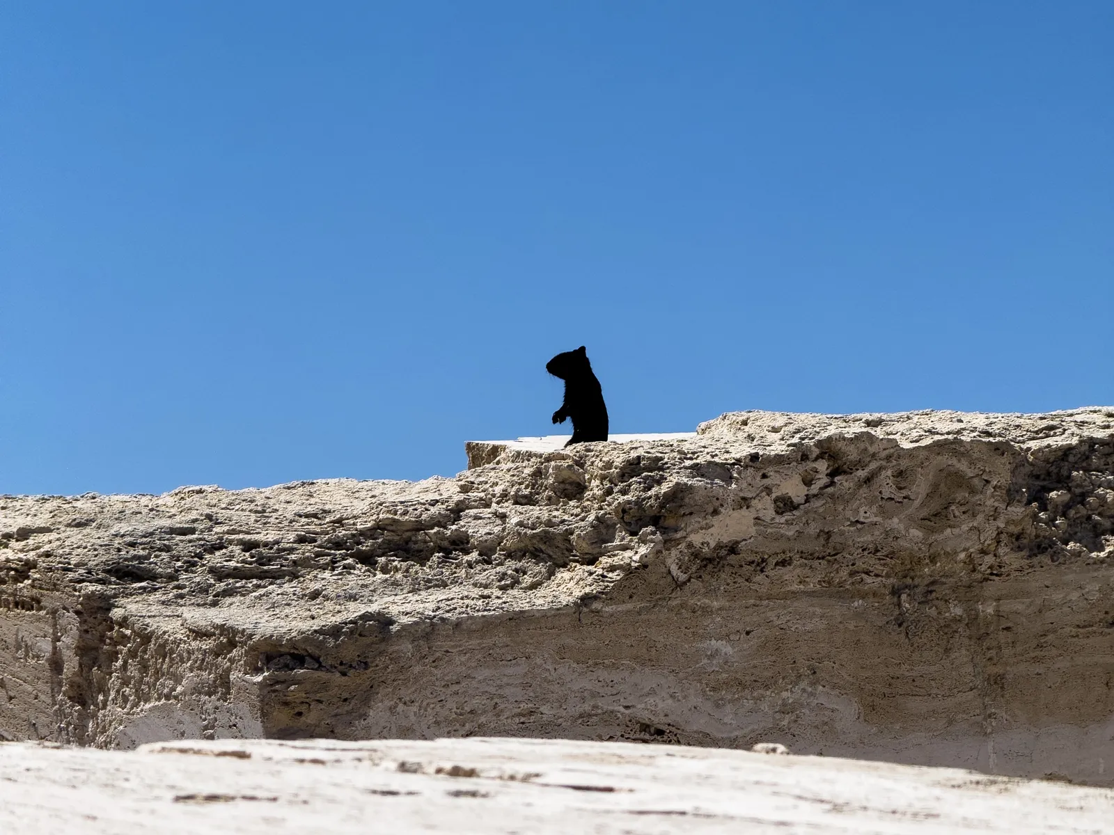 Escribir en la web para un mundo nuevo